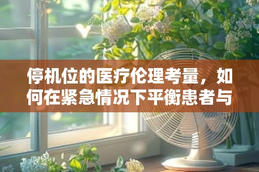 停机位的医疗伦理考量，如何在紧急情况下平衡患者与资源？