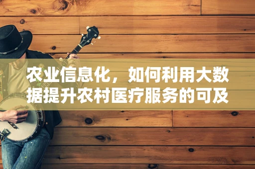 农业信息化，如何利用大数据提升农村医疗服务的可及性？