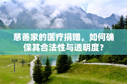 慈善家的医疗捐赠，如何确保其合法性与透明度？