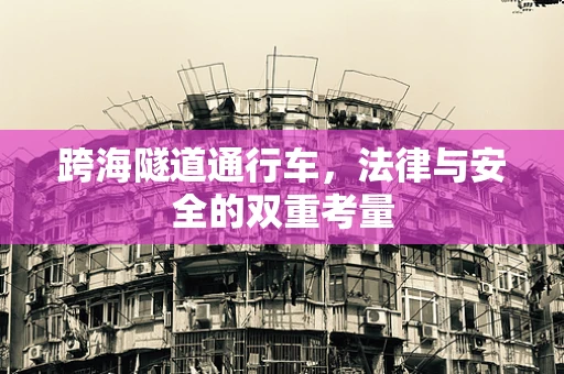 跨海隧道通行车，法律与安全的双重考量