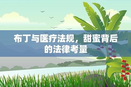 布丁与医疗法规，甜蜜背后的法律考量