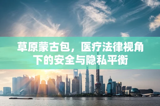 草原蒙古包，医疗法律视角下的安全与隐私平衡