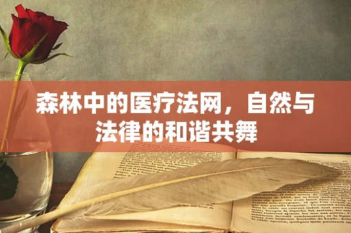 森林中的医疗法网，自然与法律的和谐共舞