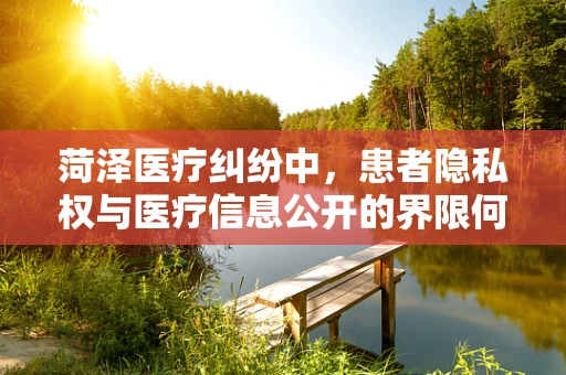 菏泽医疗纠纷中，患者隐私权与医疗信息公开的界限何在？