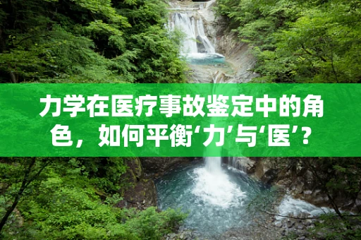 力学在医疗事故鉴定中的角色，如何平衡‘力’与‘医’？