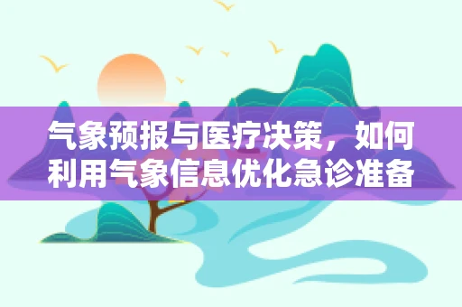 气象预报与医疗决策，如何利用气象信息优化急诊准备？