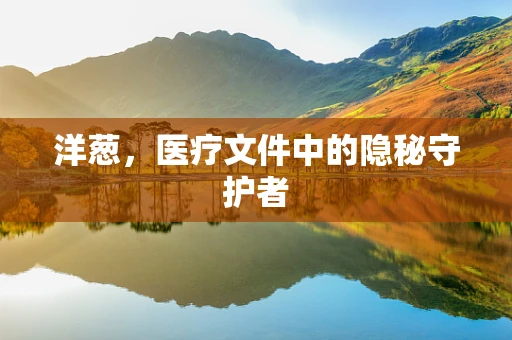 洋葱，医疗文件中的隐秘守护者
