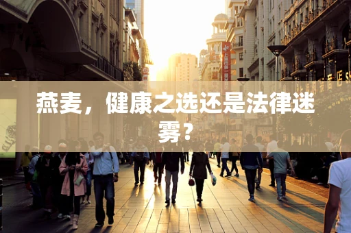 燕麦，健康之选还是法律迷雾？