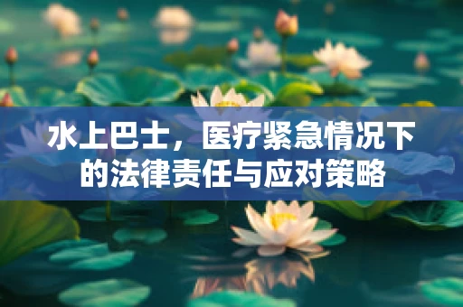 水上巴士，医疗紧急情况下的法律责任与应对策略