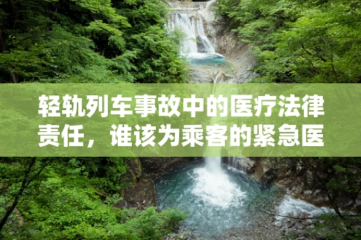 轻轨列车事故中的医疗法律责任，谁该为乘客的紧急医疗需求负责？