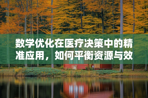 数学优化在医疗决策中的精准应用，如何平衡资源与效果？