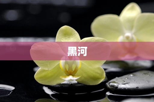 黑河