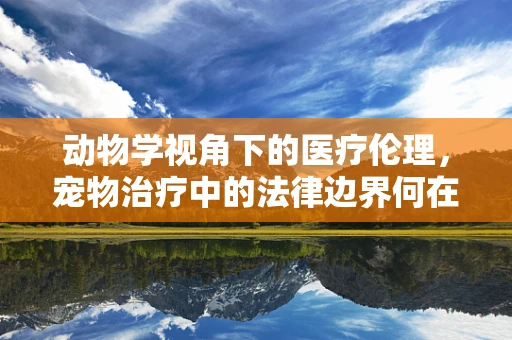 动物学视角下的医疗伦理，宠物治疗中的法律边界何在？