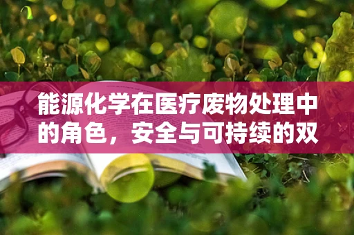 能源化学在医疗废物处理中的角色，安全与可持续的双重挑战？