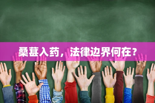 桑葚入药，法律边界何在？