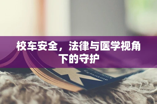 校车安全，法律与医学视角下的守护