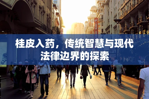桂皮入药，传统智慧与现代法律边界的探索