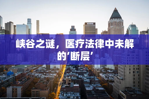 峡谷之谜，医疗法律中未解的‘断层’