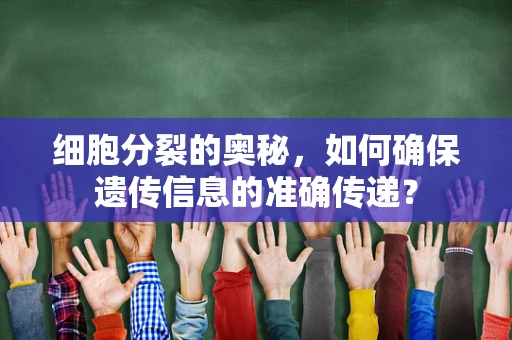 细胞分裂的奥秘，如何确保遗传信息的准确传递？