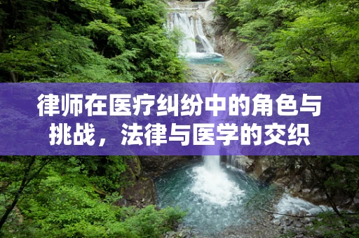 律师在医疗纠纷中的角色与挑战，法律与医学的交织