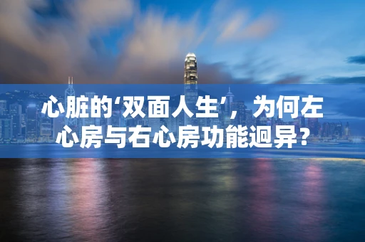 心脏的‘双面人生’，为何左心房与右心房功能迥异？