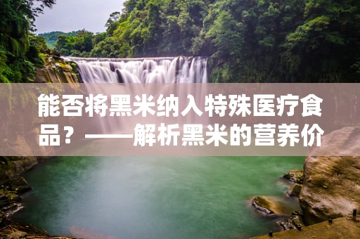 能否将黑米纳入特殊医疗食品？——解析黑米的营养价值与法律边界