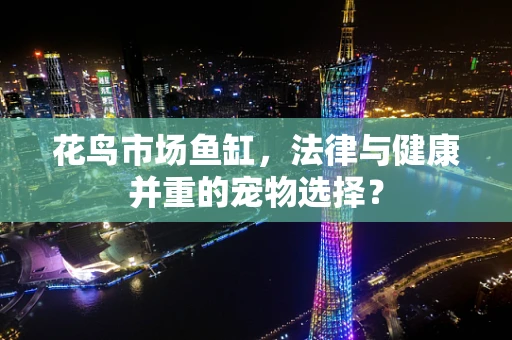 花鸟市场鱼缸，法律与健康并重的宠物选择？