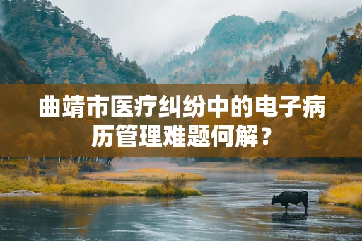 曲靖市医疗纠纷中的电子病历管理难题何解？
