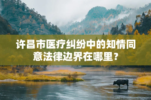 许昌市医疗纠纷中的知情同意法律边界在哪里？