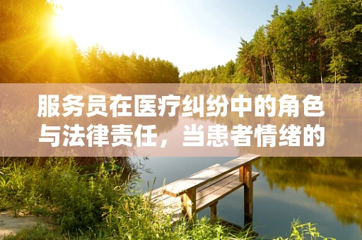 服务员在医疗纠纷中的角色与法律责任，当患者情绪的‘缓冲垫’
