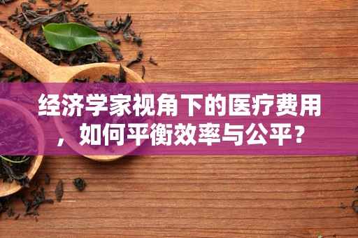 经济学家视角下的医疗费用，如何平衡效率与公平？