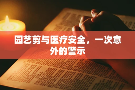 园艺剪与医疗安全，一次意外的警示