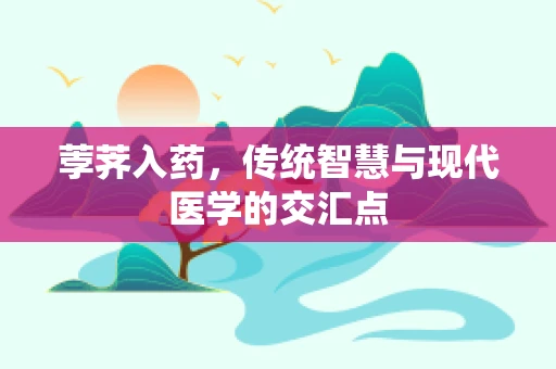 荸荠入药，传统智慧与现代医学的交汇点