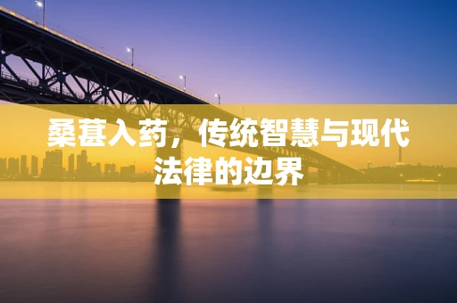 桑葚入药，传统智慧与现代法律的边界