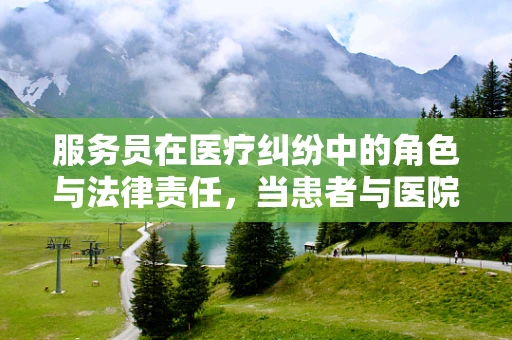 服务员在医疗纠纷中的角色与法律责任，当患者与医院之间的桥梁如何架设？