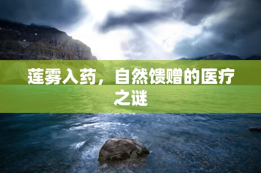 莲雾入药，自然馈赠的医疗之谜