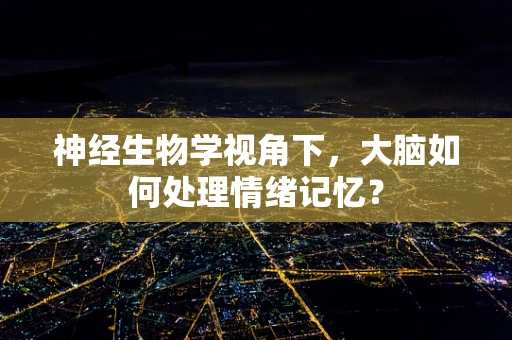 神经生物学视角下，大脑如何处理情绪记忆？