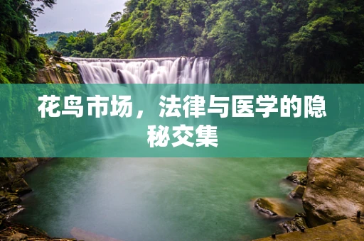 花鸟市场，法律与医学的隐秘交集