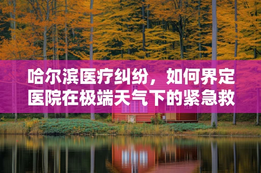 哈尔滨医疗纠纷，如何界定医院在极端天气下的紧急救治责任？