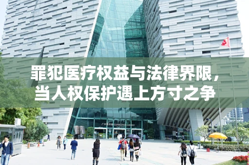 罪犯医疗权益与法律界限，当人权保护遇上方寸之争