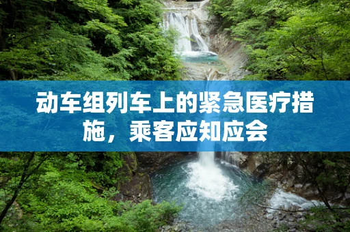 动车组列车上的紧急医疗措施，乘客应知应会