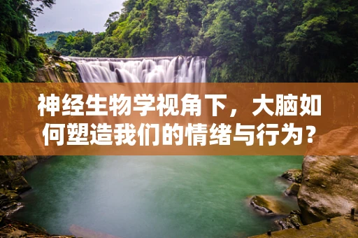 神经生物学视角下，大脑如何塑造我们的情绪与行为？