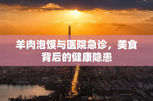 羊肉泡馍与医院急诊，美食背后的健康隐患