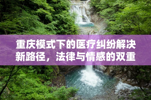 重庆模式下的医疗纠纷解决新路径，法律与情感的双重考量