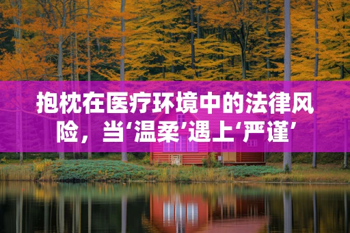 抱枕在医疗环境中的法律风险，当‘温柔’遇上‘严谨’