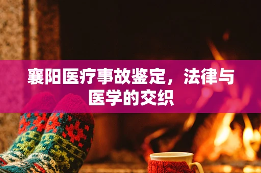 襄阳医疗事故鉴定，法律与医学的交织