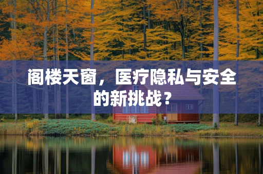 阁楼天窗，医疗隐私与安全的新挑战？
