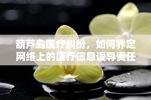 葫芦岛医疗纠纷，如何界定网络上的医疗信息误导责任？