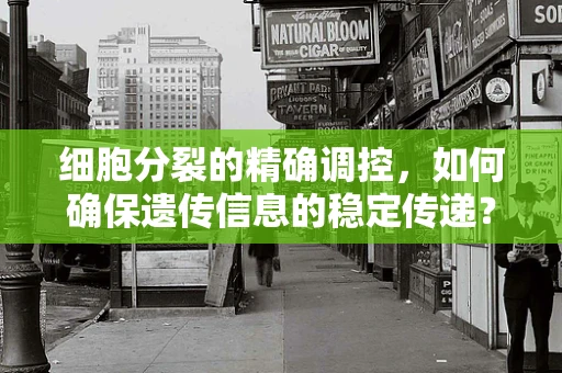 细胞分裂的精确调控，如何确保遗传信息的稳定传递？