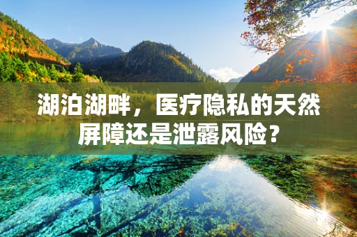 湖泊湖畔，医疗隐私的天然屏障还是泄露风险？
